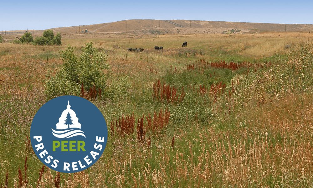 Denver Superfund Site May Be Leaching Toxic PFAS