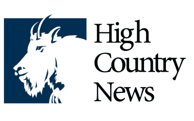 The feds crack down on feral cattle