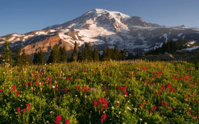 COMMENTARY | Going Big on Land Conservation in 30×30