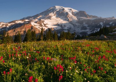 COMMENTARY | Going Big on Land Conservation in 30×30