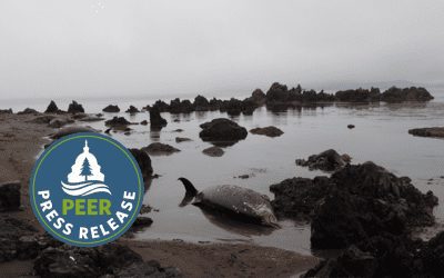 Foreign Research Vessels Free to Wreak Eco-Havoc