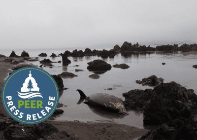 Foreign Research Vessels Free to Wreak Eco-Havoc