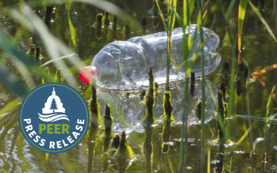 How Park Ban on Plastic Bottles Got Throttled