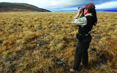 REPORT | Building a Better BLM