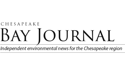 When is a little ‘forever chemical’ too much to eat?