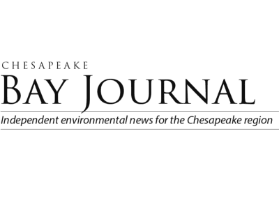 When is a little ‘forever chemical’ too much to eat?