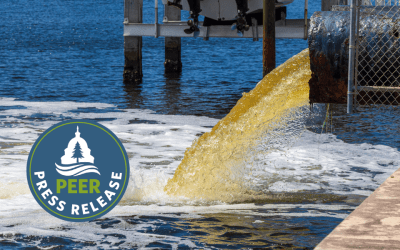 Florida’s Waters Awash in Sewage Spills