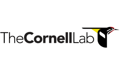 Neonic Nation: Is Widespread Pesticide Use Connected To Grassland Bird Declines?