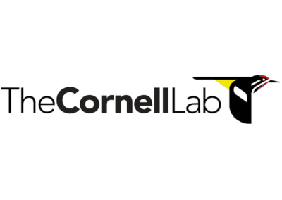Neonic Nation: Is Widespread Pesticide Use Connected To Grassland Bird Declines?