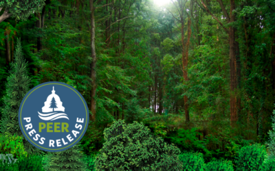 Eco-Studies Releasing Most Potent Greenhouse Gas