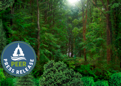 Eco-Studies Releasing Most Potent Greenhouse Gas