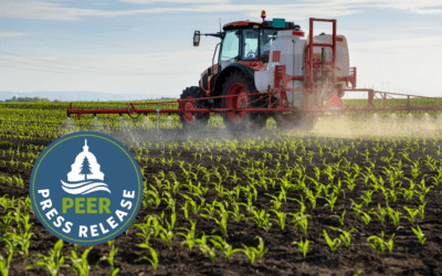 High Levels of Dangerous ‘Forever Chemicals’ Found in California’s Most-Used Insecticide