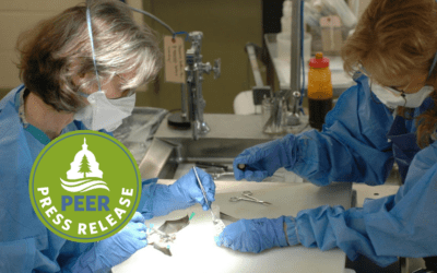 USGS Inches Toward Accreditation of Wildlife Disease Lab