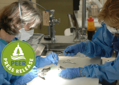 USGS Inches Toward Accreditation of Wildlife Disease Lab