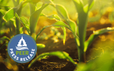 Substantial PFAS Contamination Found in Pesticides