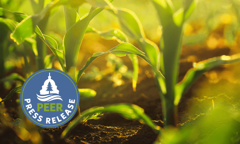 Substantial PFAS Contamination Found in Pesticides