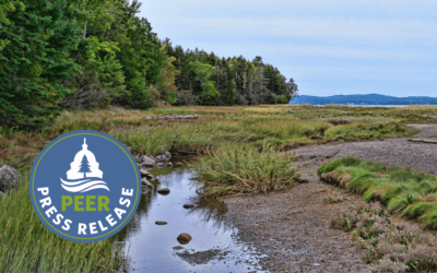 Maine Eyeing Sears Island for Port Again