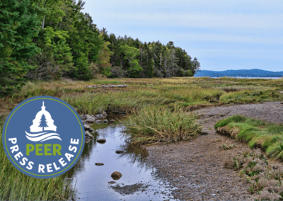 Maine Eyeing Sears Island for Port Again