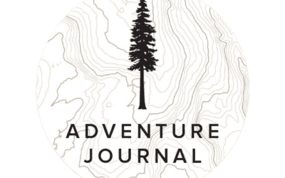 Actually, Wild Horses and Burros Deserve a Home in the West