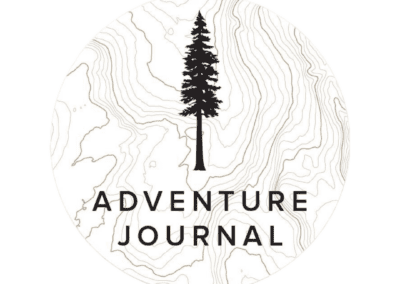 Actually, Wild Horses and Burros Deserve a Home in the West