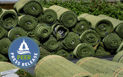 Los Angeles’ Artificial Turf Plan Misguided