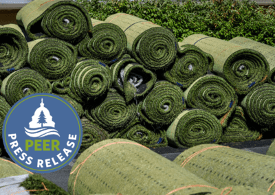 Los Angeles’ Artificial Turf Plan Misguided