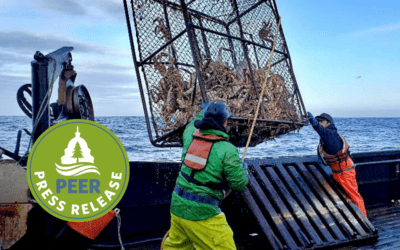 NOAA Passes the Buck on Alaska Crab Fishery Collapses