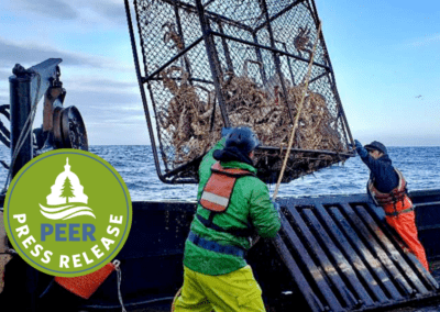 NOAA Passes the Buck on Alaska Crab Fishery Collapses