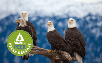 Ban Lead Ammunition and Tackle from National Parks