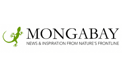 Did climate change really kill billions of snow crabs in Alaska?