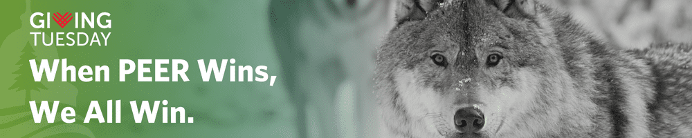 PEER_GivingTuesday_FY23_Donation Page (1000 × 200 px)WOLVES