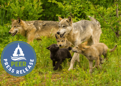 Call to End Federal Subsidies for Wildlife Slaughter