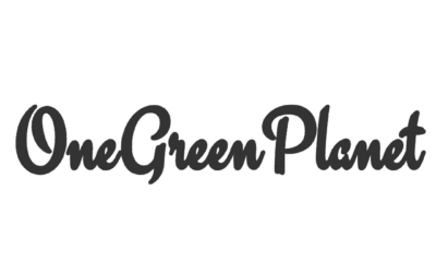 New Lawsuit Targets Toxic PFAS, or Forever Chemicals, in Plastic Food Containers