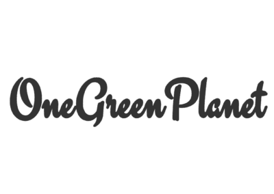 EPA Braces for Potential Political Influence in Climate Science if Trump Wins