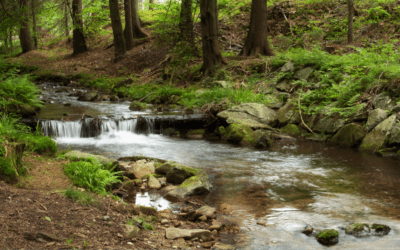 COMMENTARY | Biden Strengthens Clean Water Rules