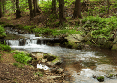 COMMENTARY | Biden Strengthens Clean Water Rules