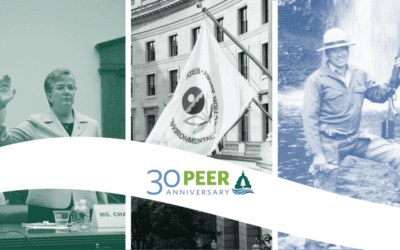 COMMENTARY | PEER at Age 30 – Some Perspective