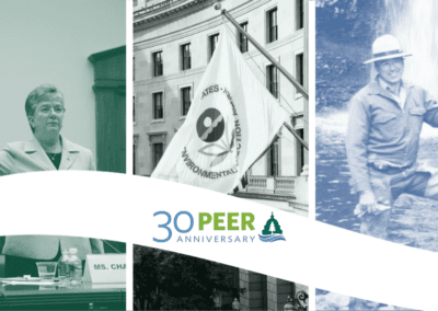 COMMENTARY | PEER at Age 30 – Some Perspective