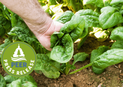 Off-the-Charts PFAS in Maryland Biosolid Fertilizers