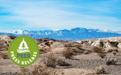 National Park Fossils May Block Big Transmission Line