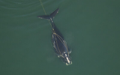 US budget riders compromise conservation