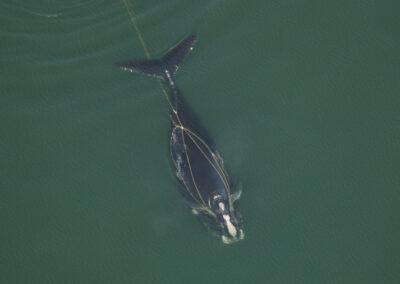 US budget riders compromise conservation