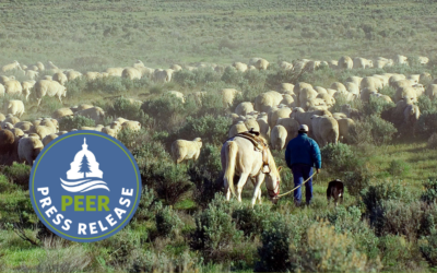 Permit Renewal Shows BLM Not Serious on Range Reform