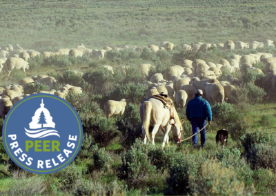 Permit Renewal Shows BLM Not Serious on Range Reform