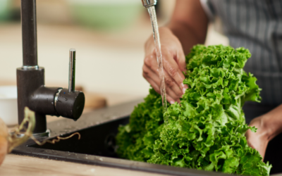 COMMENTARY | EPA’s Whack-a-Mole “Forever Chemicals” Posture Is an Intolerable Failure