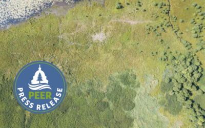 BLM’s Sketchy Satellite-Based Range Management