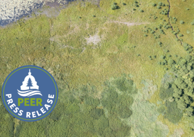 BLM’s Sketchy Satellite-Based Range Management