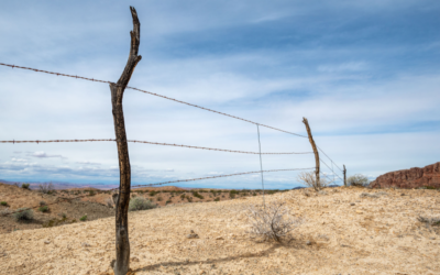 COMMENTARY | Questions About BLM’s Conservation Rule