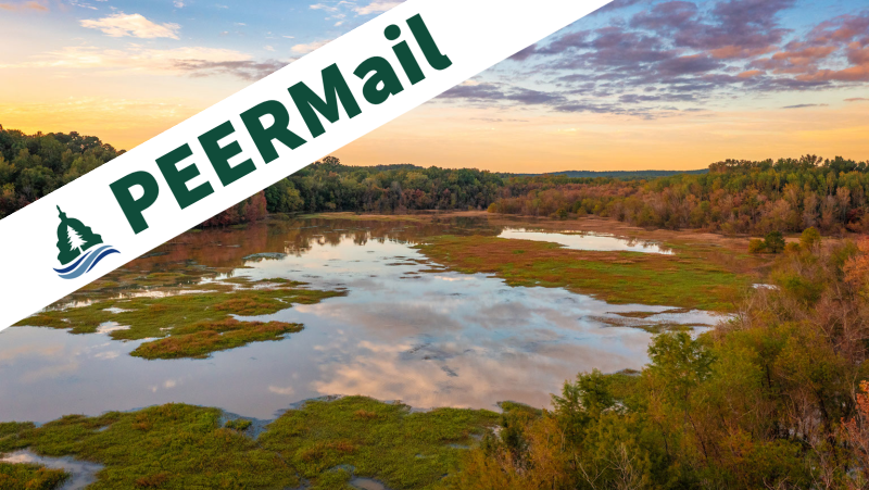 PEERMail | Supreme Court Guts Wetlands Protections