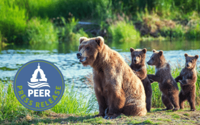 Feds Subsidizing Slaughter of Wild Predators